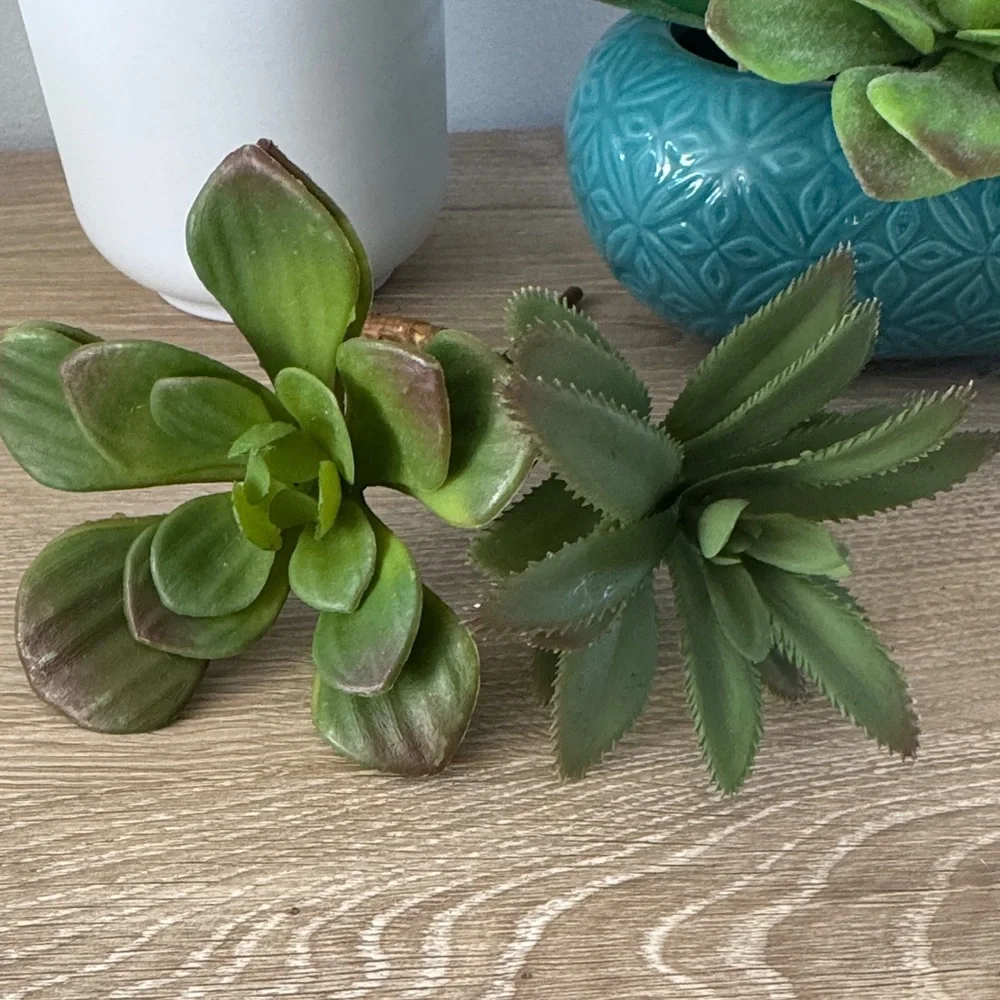Target Faux Plant + Succulents